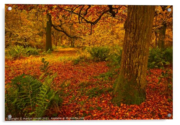 Southwick Wood Northamptonshire in Autumn Acrylic by Martyn Arnold