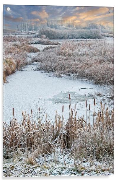 Winter Scene at Rutland Water Acrylic by Martyn Arnold
