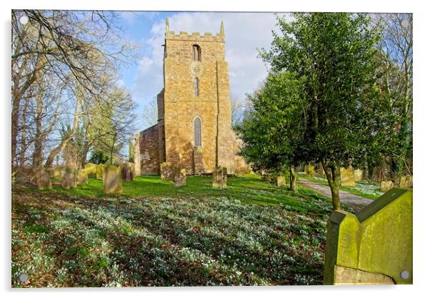 Churchyard Spring Snowdrops Acrylic by Martyn Arnold