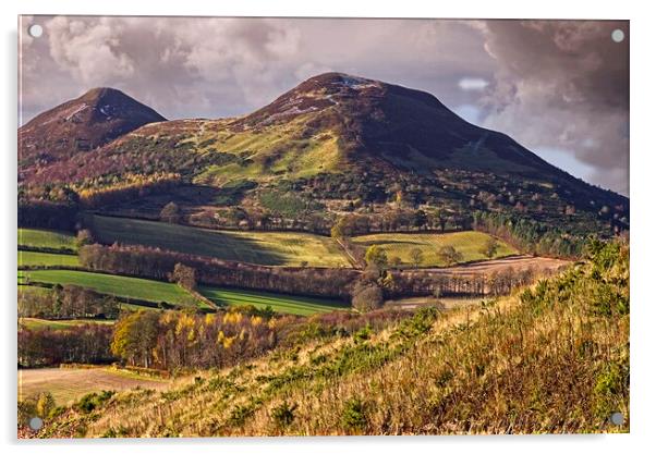 Eildon Hills from Scott's View near Melrose Acrylic by Martyn Arnold