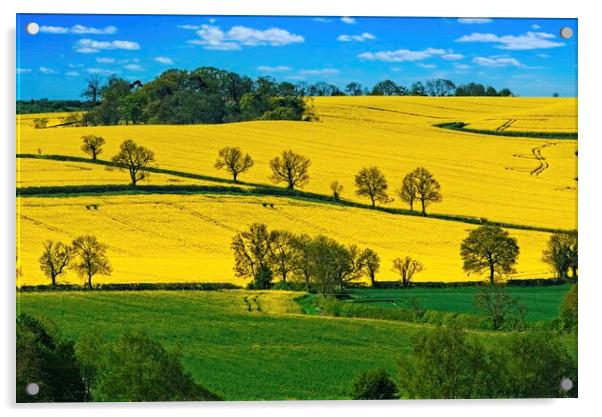 Rutland Countryside Landscape Acrylic by Martyn Arnold
