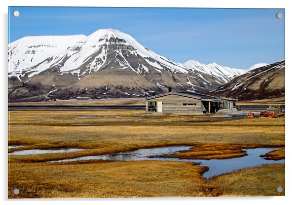 Splendid Isolation on Arctic Svalbard Acrylic by Martyn Arnold