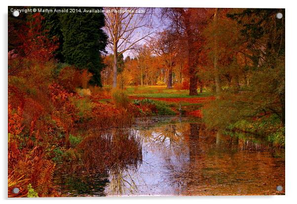 Autumns Golden Colour Acrylic by Martyn Arnold