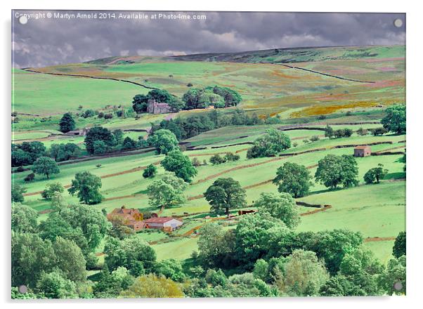 Swaledale near Reeth in the Yorkshire Dales Acrylic by Martyn Arnold