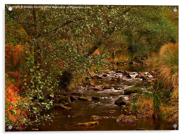 Yorkshire Moors Stream in Autumn Acrylic by Martyn Arnold