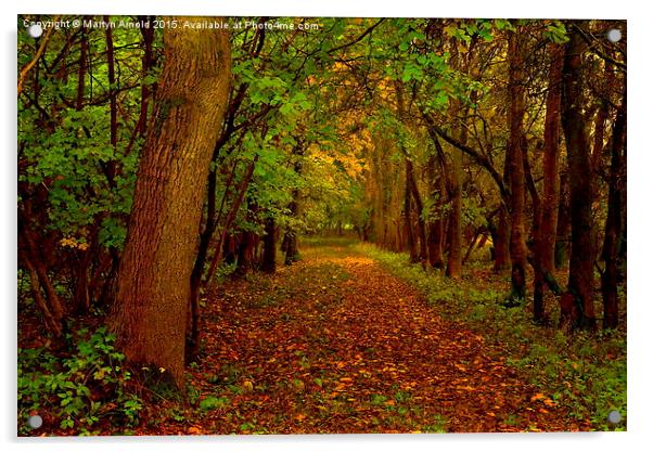  Autumn Wood Acrylic by Martyn Arnold