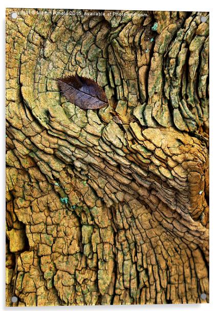 Decaying Tree Abstract Acrylic by Martyn Arnold