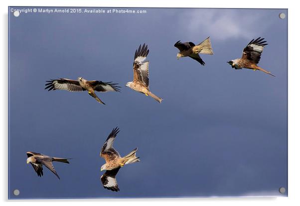  A Sky Full of Red Kites Acrylic by Martyn Arnold