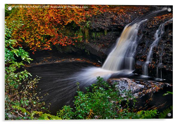  Hamsterley Forest waterfall in Autumn Acrylic by Martyn Arnold
