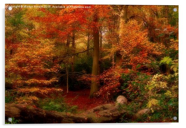  Dreamy Autumn Woodland Colours Acrylic by Martyn Arnold