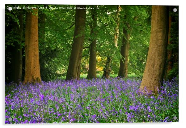 SPRING BLUEBELL WOOD AT THORP PERROW Acrylic by Martyn Arnold