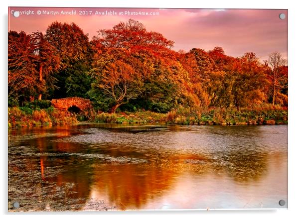 Autumn Sunset at Hardwick Park Acrylic by Martyn Arnold