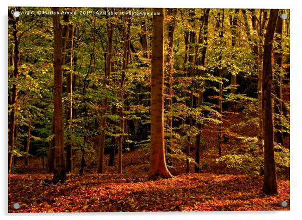 Autumn Woodland Evening Acrylic by Martyn Arnold
