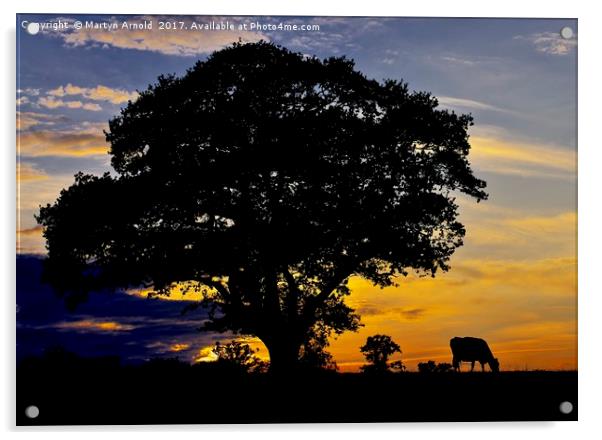 Night Falls on the Farm Acrylic by Martyn Arnold