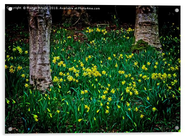 Spring Daffodils Acrylic by Martyn Arnold