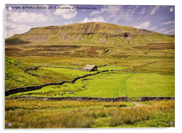 Pen-y-Ghent Yorkshire dales Acrylic by Martyn Arnold