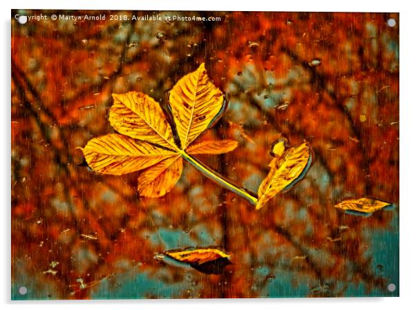 Floating Autumn Leaves Acrylic by Martyn Arnold