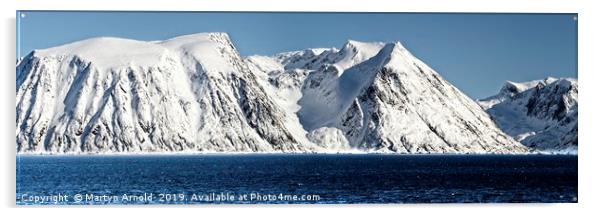 Arctic Panorama Acrylic by Martyn Arnold