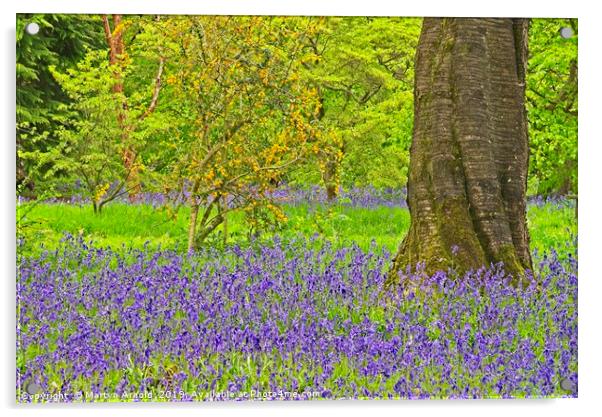 Spring Bluebells and Blossom Acrylic by Martyn Arnold