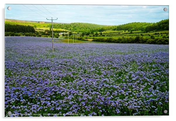Flower fields in Kildale Acrylic by Martyn Arnold