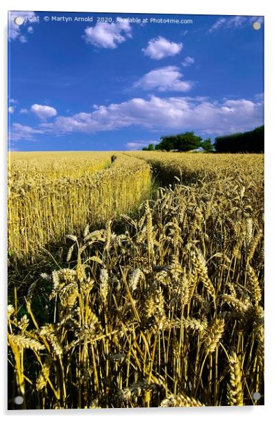Amongst the Wheatfields Acrylic by Martyn Arnold