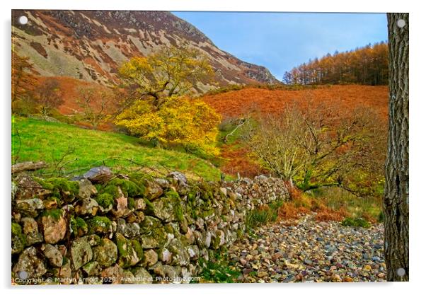 Autumn Walk in the Lake District Acrylic by Martyn Arnold