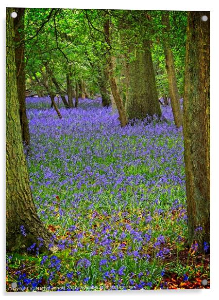 Signs of Hope - Bluebell Wood in Spring Acrylic by Martyn Arnold