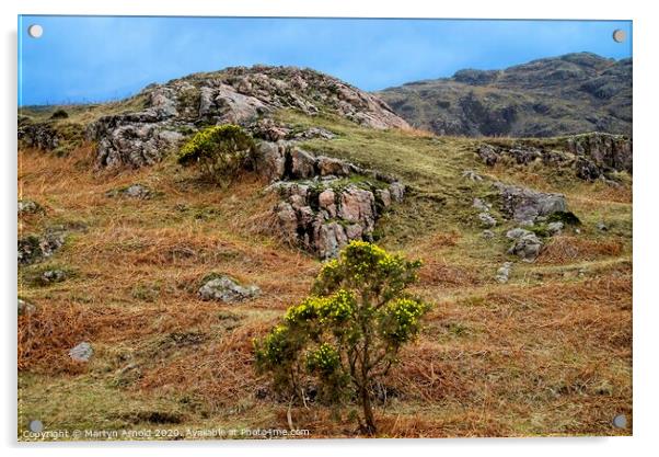 Lakeland Colours Acrylic by Martyn Arnold