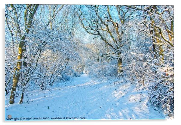 Winter Woodland Walk Acrylic by Martyn Arnold