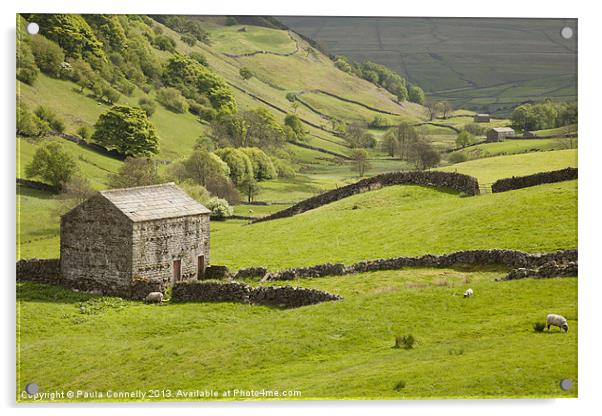 Swaledale Acrylic by Paula Connelly