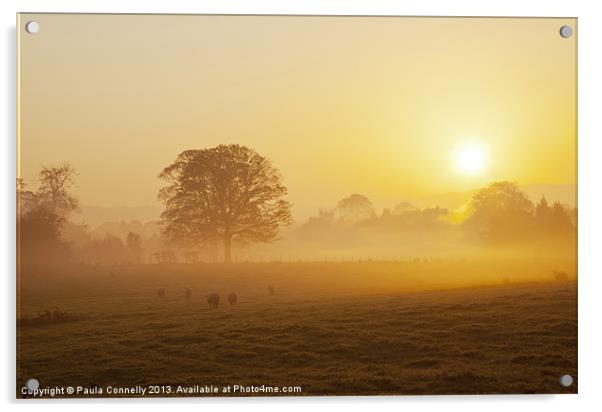 Misty Sunrise Acrylic by Paula Connelly