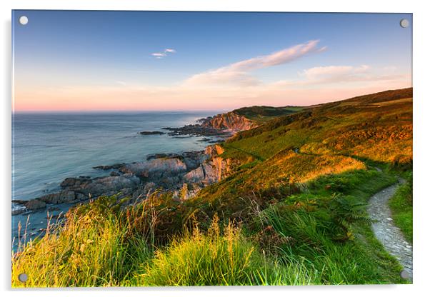 Mortehoe Coast Path Acrylic by Lee Thorne