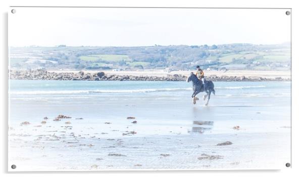 Galloping, Marazion Beach, Cornwall Acrylic by Jean Gill
