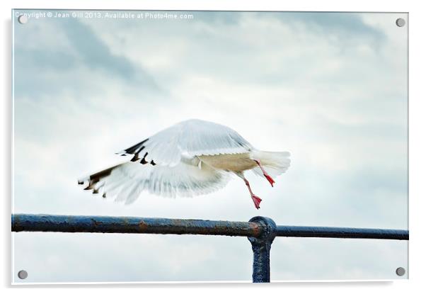 Freedom in Flight Acrylic by Jean Gill