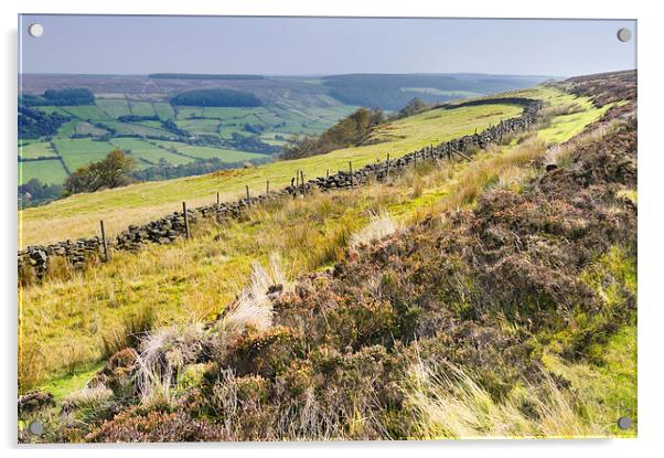 Rosedale North York Moors Acrylic by Jean Gill