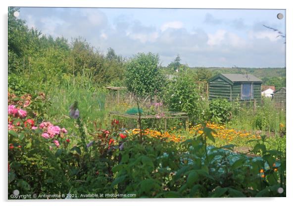 Summer's day at the allotment Acrylic by Antoinette B