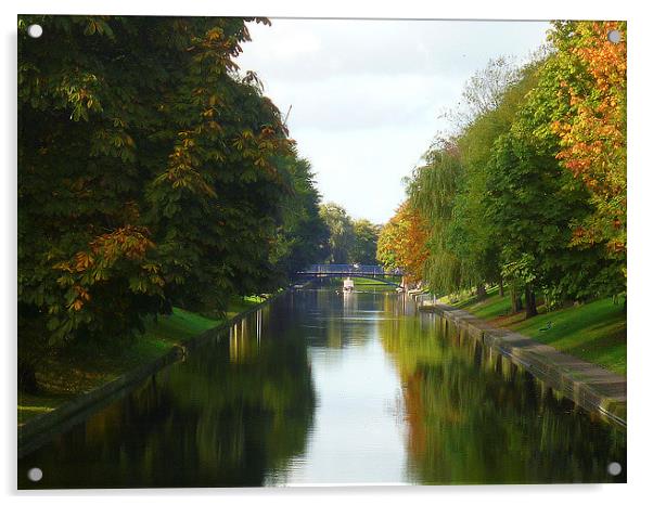 Hythe Royal Military Canal Acrylic by Antoinette B