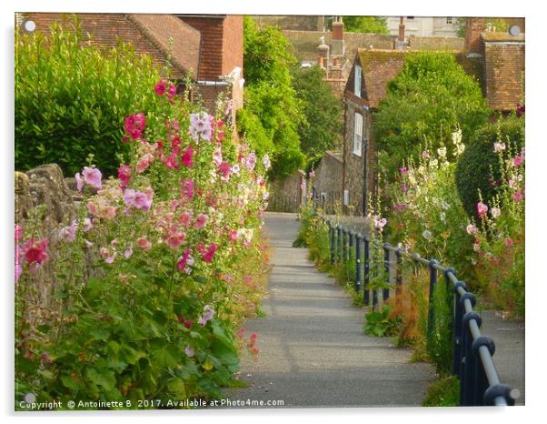 Hollyhocks on Church Hill Acrylic by Antoinette B