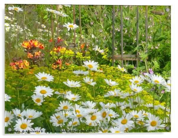 Wild Flower Garden In An Allotment  Acrylic by Antoinette B