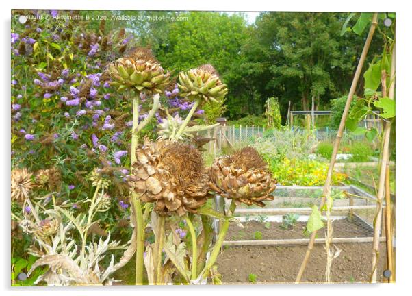 Artichokes seed heads in an allotment  Acrylic by Antoinette B