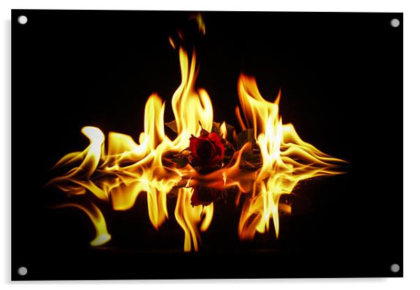 Burning Love Acrylic by Tony Fishpool
