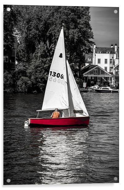 Sailing Free Acrylic by Tony Fishpool