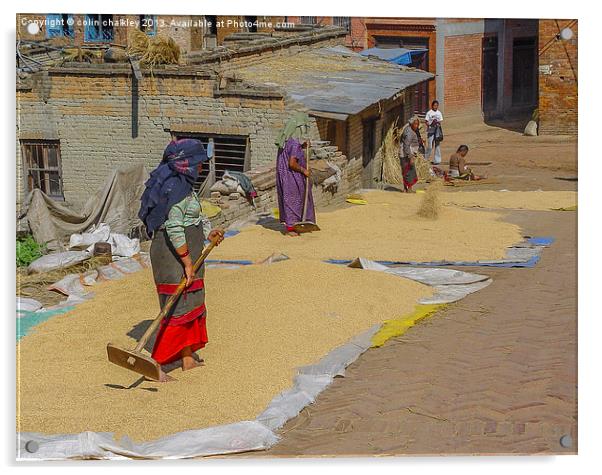 Drying grain in Kathmandu Acrylic by colin chalkley