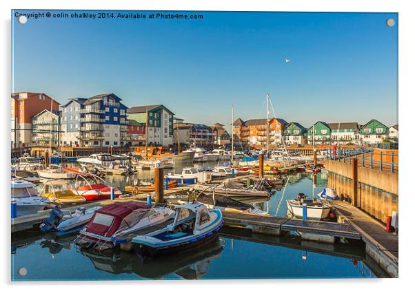 Exmouth Harbour and Marina in Devon Acrylic by colin chalkley