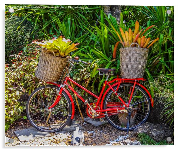  A Bicycle Planter - Thai style Acrylic by colin chalkley