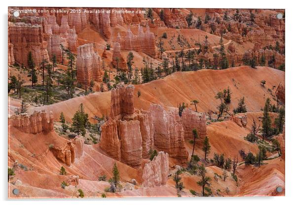  Bryce Canyon Acrylic by colin chalkley