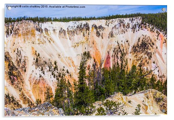  Yellowstone National Park - Lower Falls Acrylic by colin chalkley