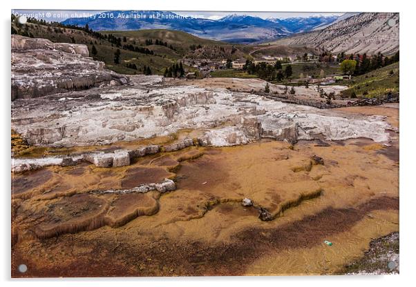 Travertine Terraces - Yellowstone  Acrylic by colin chalkley