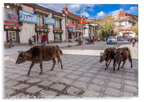 Main Road in Gyantse, Tibet Acrylic by colin chalkley