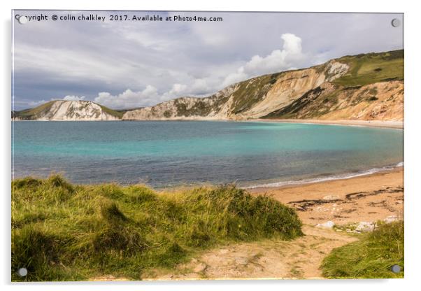 Worbarrow Bay in Dorset Acrylic by colin chalkley